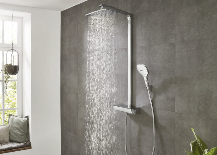 Raindance hansgrohe/153 1