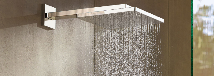 Raindance hansgrohe/153 4