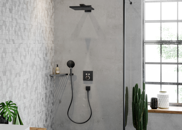 Raindance hansgrohe/153 5