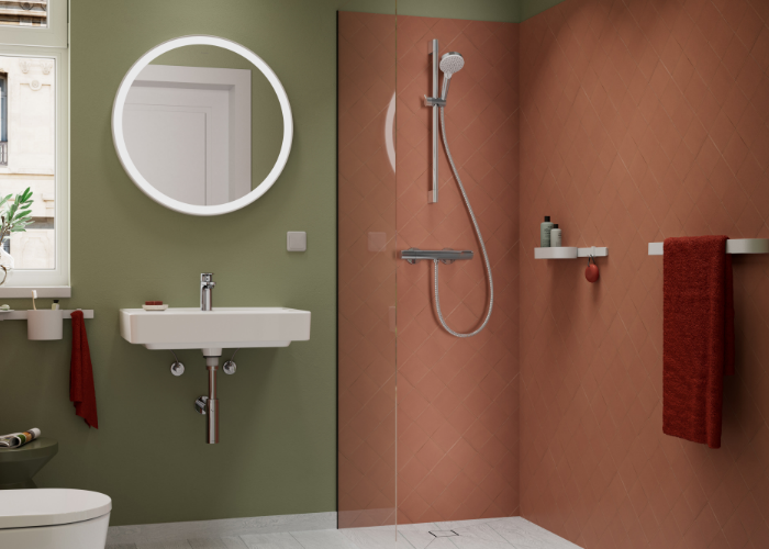 Vernis Blend hansgrohe/204 1